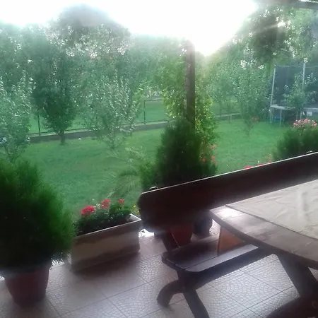 Guest house Pensiunea Abel