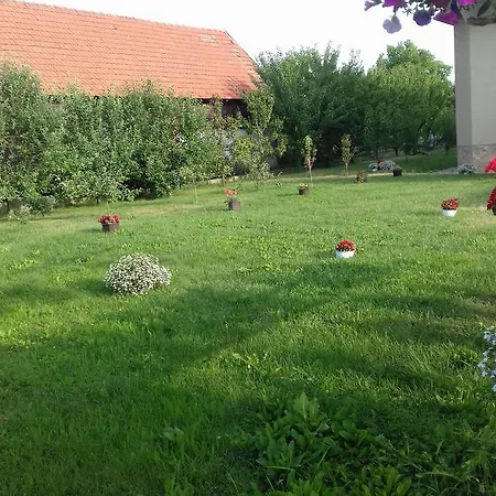 Pensiunea Abel Pensiune Mihai Viteazu (Cluj)